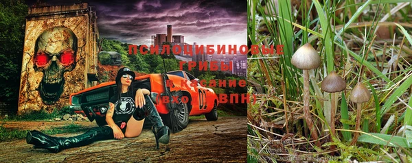 герыч Алексеевка