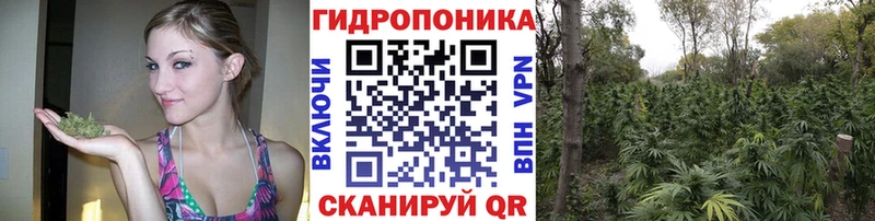 купить наркоту  KRAKEN как зайти  МАРИХУАНА White Widow  Шелехов 